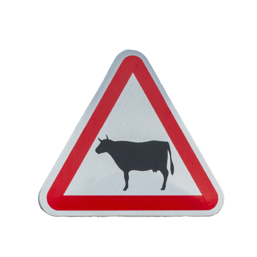 Triangular road sign with a thick red border and a  a black silhouette of a cow on a white background.
