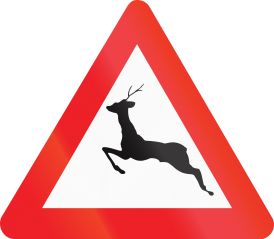 Red-bordered triangular road sign with a silhouette of a leaping deer in black to alert of wild animals crossing.